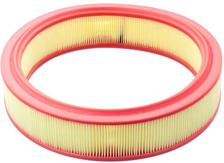 Fiat Luchtfilter 38302