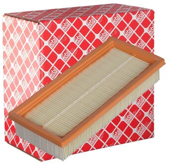 Fiat Luchtfilter 38407