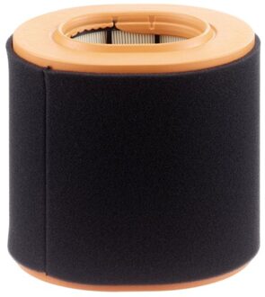 Fiat Luchtfilter C20043