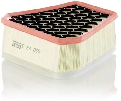 Fiat Luchtfilter C26065