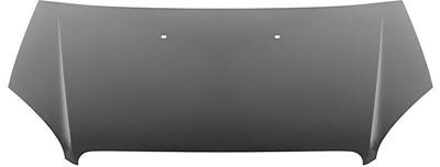 Fiat Motorkap 06+ 1637660