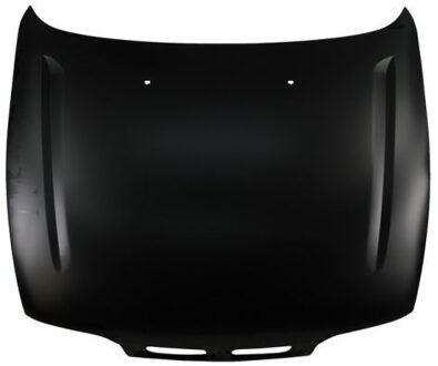 Fiat Motorkap 6803002026280P