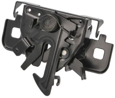 Fiat Motorkapslot 6010091249424P