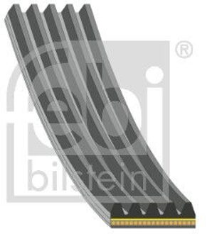 Fiat multi V-riemvoor startergenerator 183324