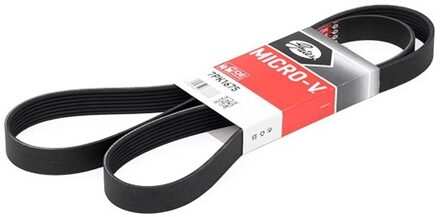 Fiat Multiriem 7PK1675