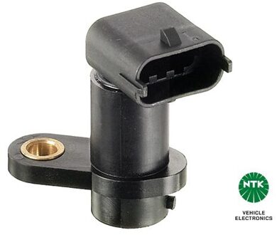 Fiat Nokkenassensor 81338