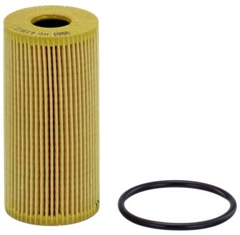 Fiat Oliefilter HU6181y
