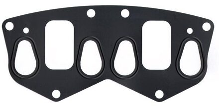 Fiat Pakking, inlaatspruitstuk