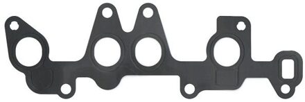 Fiat Pakking, inlaatspruitstuk