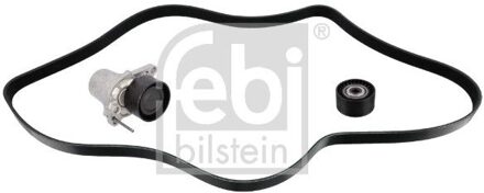 Fiat Poly V-riem set 183555