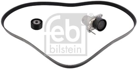 Fiat Poly V-riem set 183827