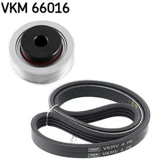 Fiat Poly V-riem set VKMA66016