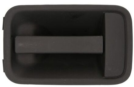 Fiat Portiergreep buitenkant 601007014410LP