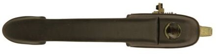 Fiat Portiergreep buitenkant 601007017401P