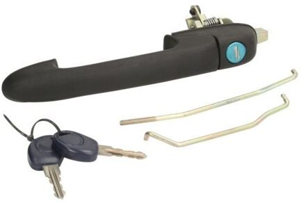 Fiat Portiergreep buitenkant 601007017401PP