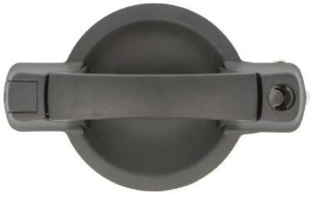 Fiat Portiergreep buitenkant 601007029410LP
