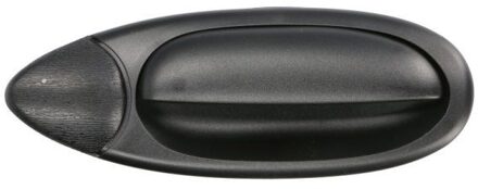 Fiat Portiergreep buitenkant 6010070329404P