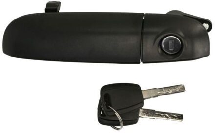 Fiat Portiergreep buitenkant 6010070335401PP