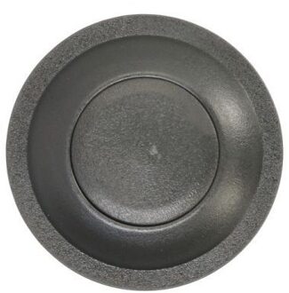 Fiat Portiergreep buitenkant 6010210226417PP