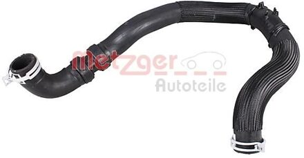 Fiat Radiateurslang 2421166