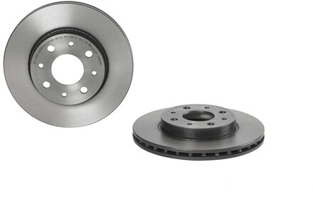 Fiat Remschijf 09861611