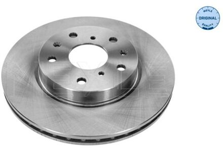 Fiat Remschijf 33155210016