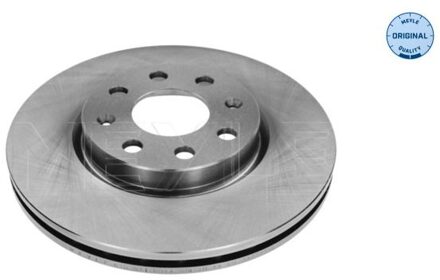 Fiat Remschijf 6155210015