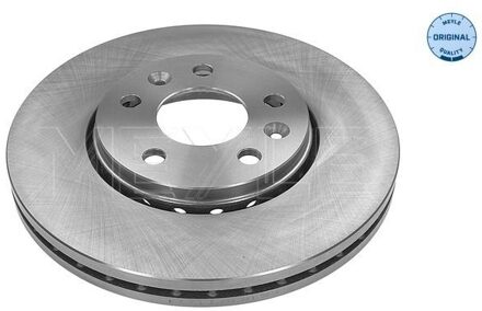 Fiat Remschijf 6155210029