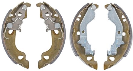 Fiat remschoenset 170828