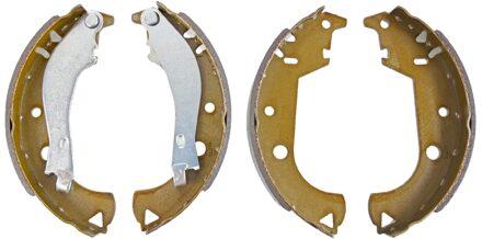 Fiat remschoenset 170972