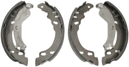 Fiat remschoenset 171069