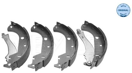 Fiat Remschoenset 2145330005