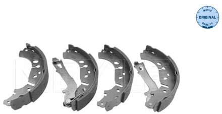 Fiat Remschoenset 2145330007