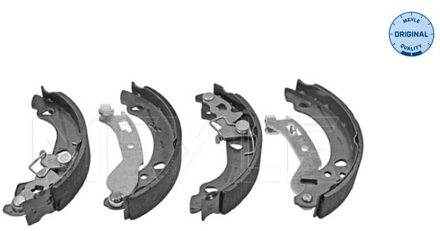 Fiat Remschoenset 2145330011