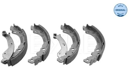 Fiat Remschoenset 2145330012