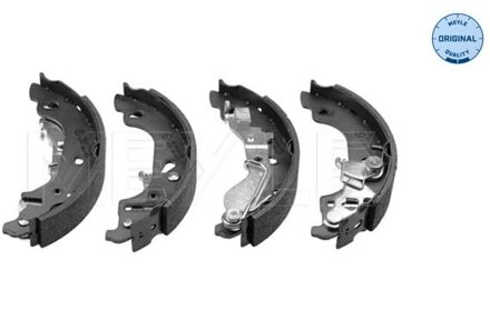 Fiat Remschoenset 2145330013