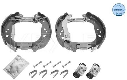 Fiat Remschoenset 2145330031
