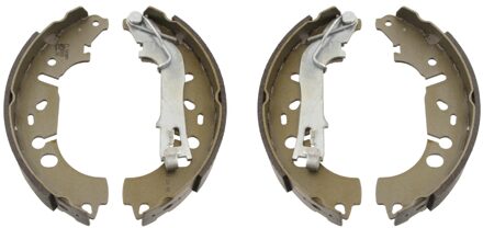 Fiat Remschoenset 29191