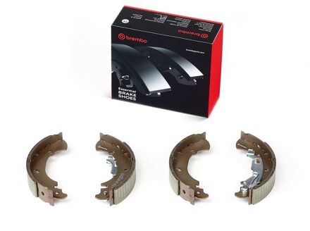 Fiat Remschoenset S23528