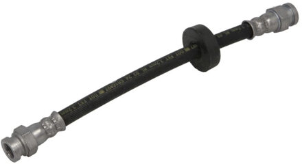 Fiat Remslang BH1554