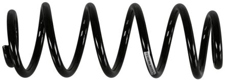 Fiat Sachs Schroefveer 994793