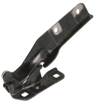 Fiat Scharnier, motorkap 6802002042451P