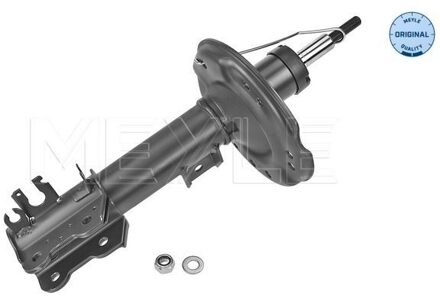 Fiat Schokdemper 2266230015