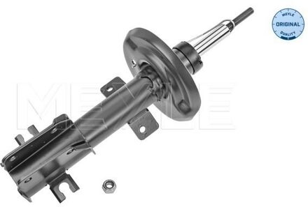 Fiat Schokdemper 2266230020