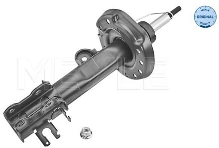 Fiat Schokdemper 2266230026