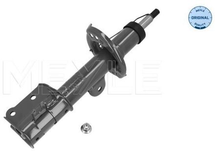 Fiat Schokdemper 2266230028