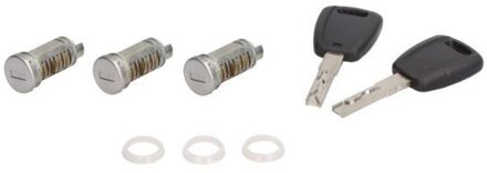 Fiat Slotcilinder 505000FI421703