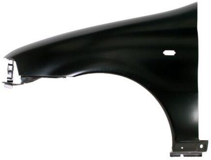 Fiat Spatbord 6504042007311P