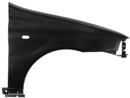 Fiat Spatbord 6504042007312P