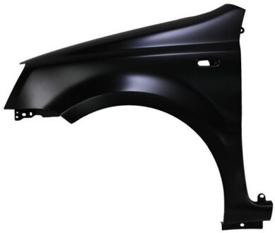 Fiat Spatbord 6504042008311Q